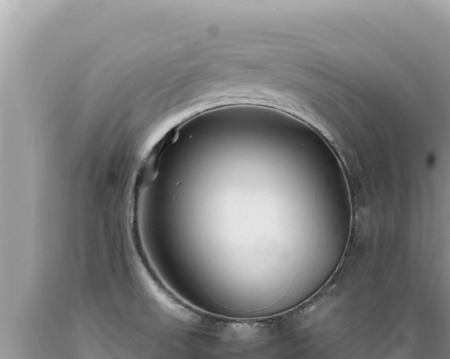 X0000089361523200706221149