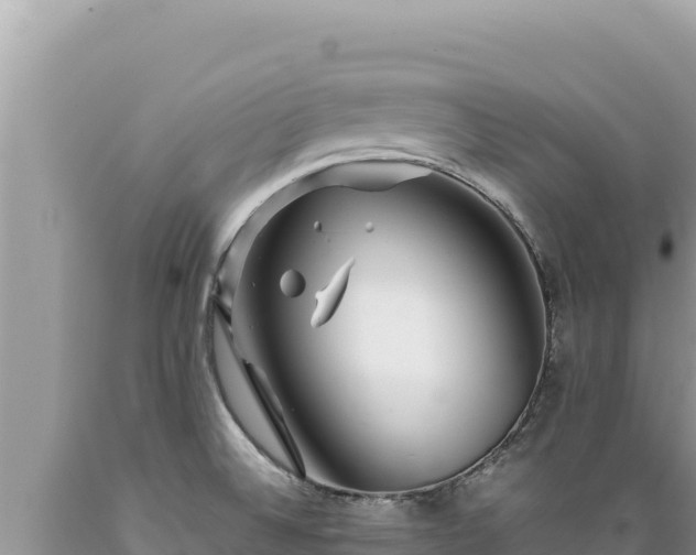 X0000089361524200706221149