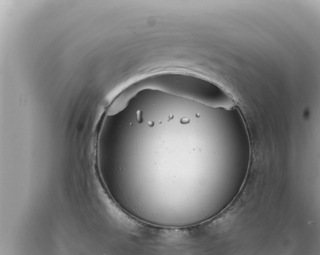 X0000089361526200706221149
