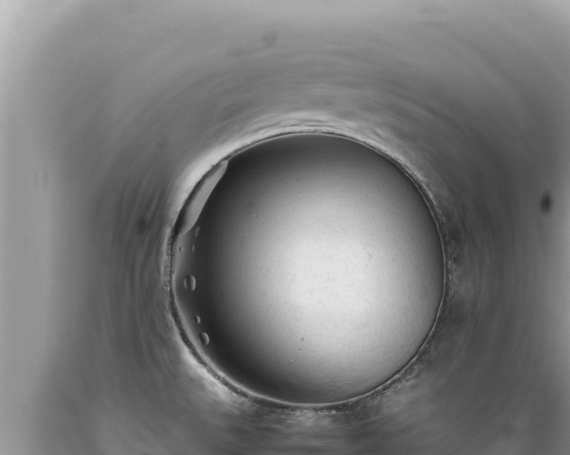 X0000089361527200706221149