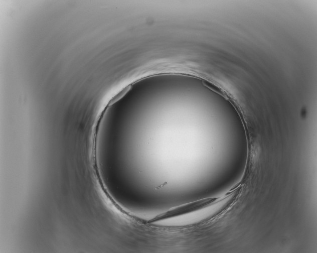 X0000089361528200706221149