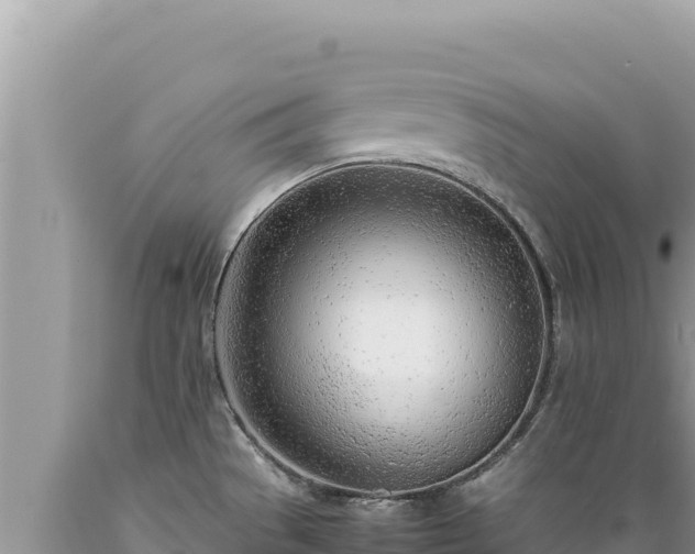 X0000089361529200706221149