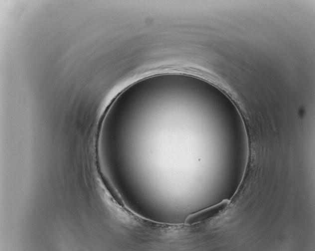 X0000089361530200706221149