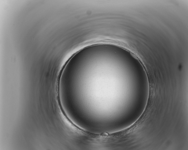 X0000089361531200706221149
