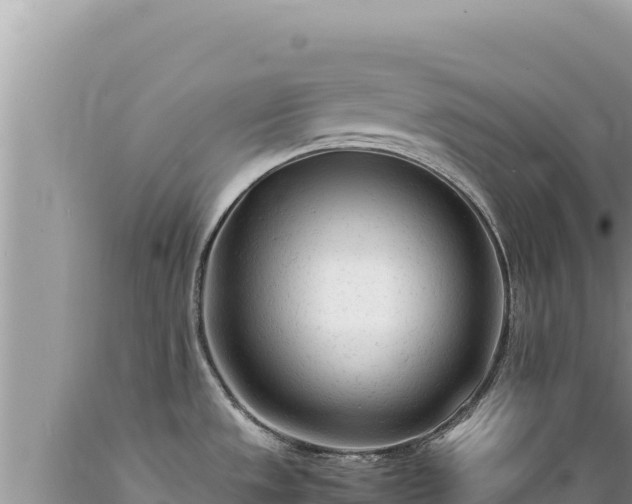 X0000089361533200706221149