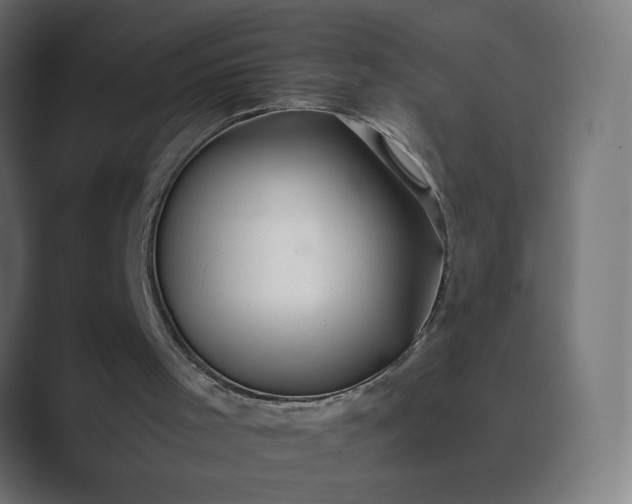 X0000089360001200706291051