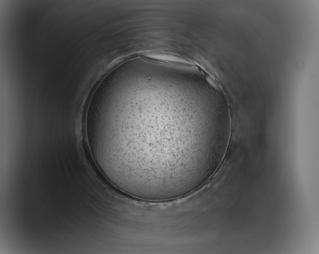 X0000089360002200706291051