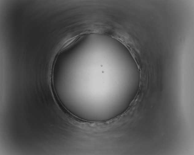 X0000089360003200706291051