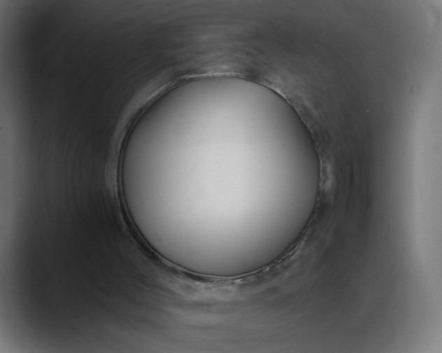 X0000089360004200706291051