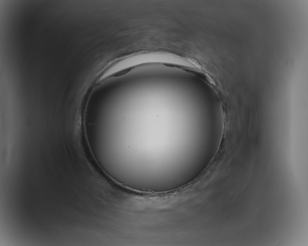 X0000089360005200706291051