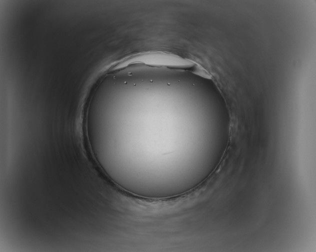 X0000089360006200706291051