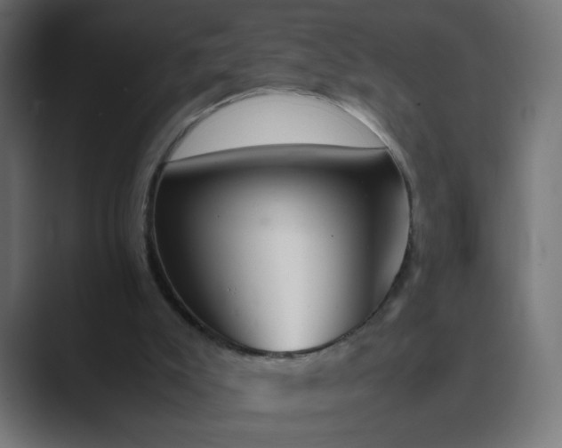 X0000089360007200706291051