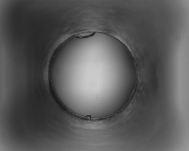 X0000089360008200706291051