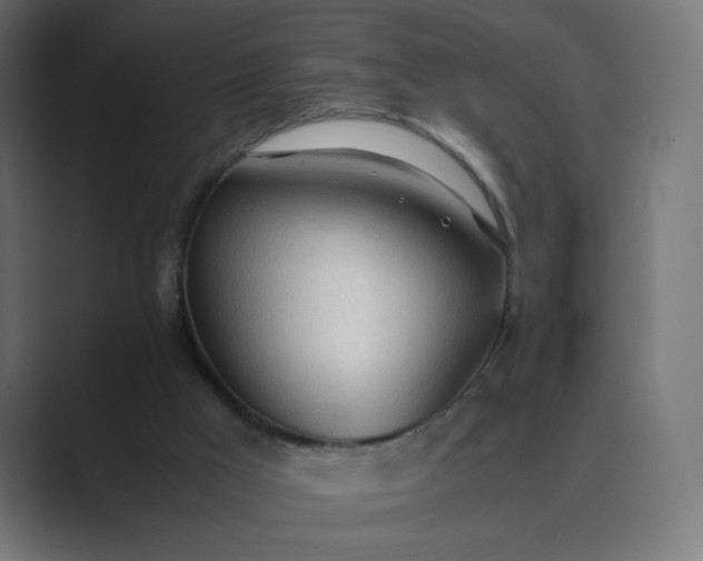 X0000089360009200706291051