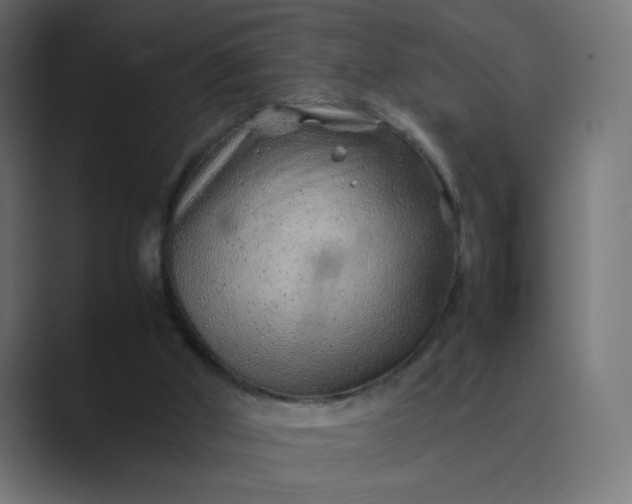 X0000089360010200706291051