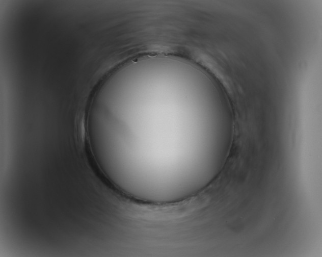 X0000089360011200706291051