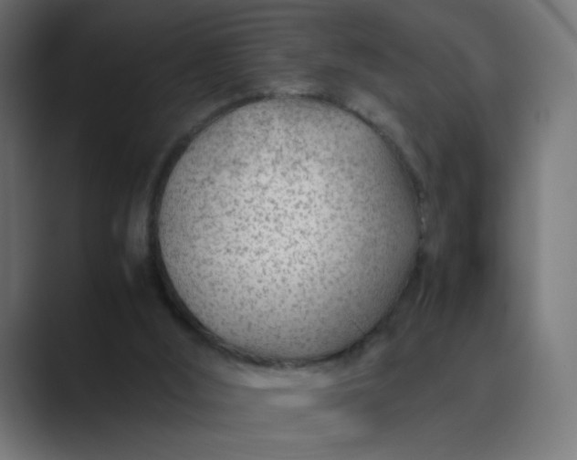 X0000089360012200706291051