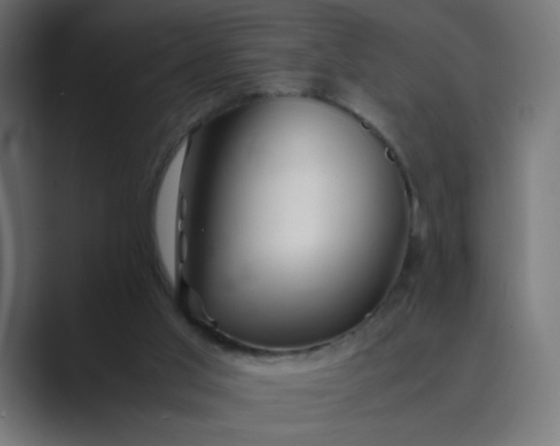 X0000089360013200706291051