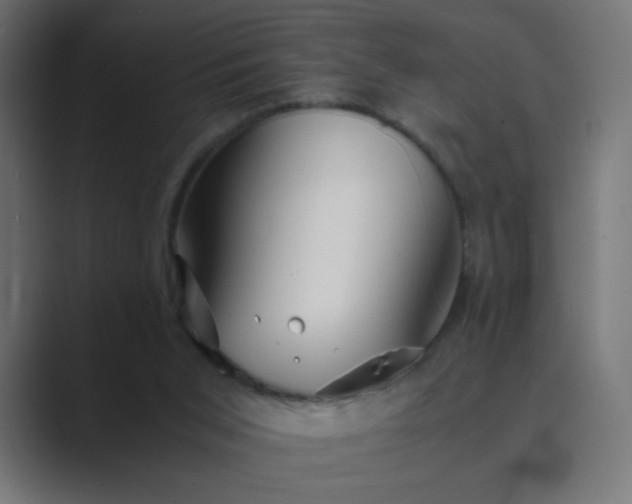 X0000089360015200706291051