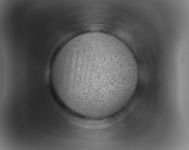 X0000089360016200706291051