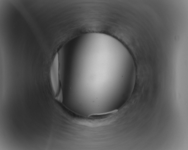 X0000089360017200706291051