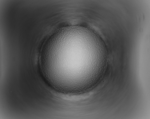 X0000089360018200706291050