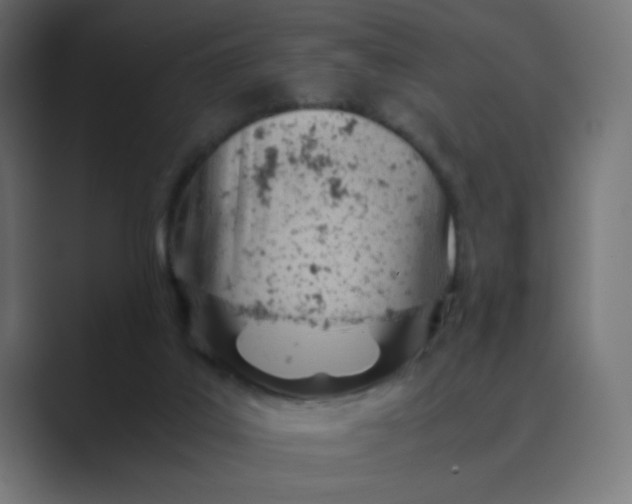 X0000089360019200706291050