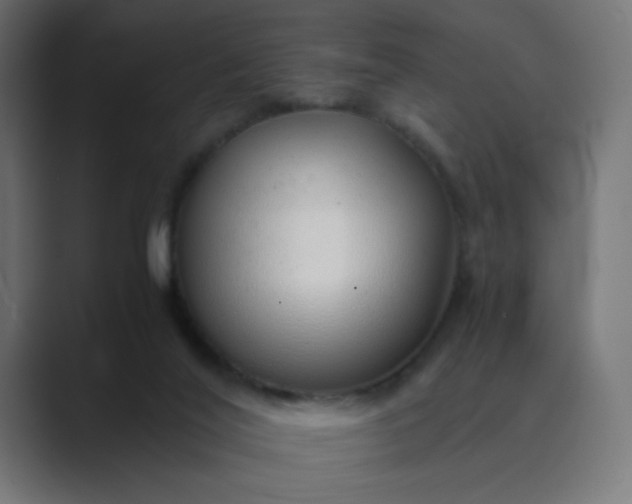 X0000089360020200706291050