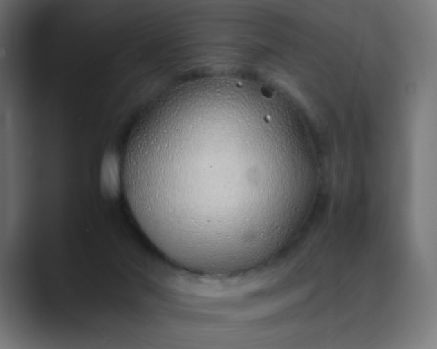 X0000089360022200706291050