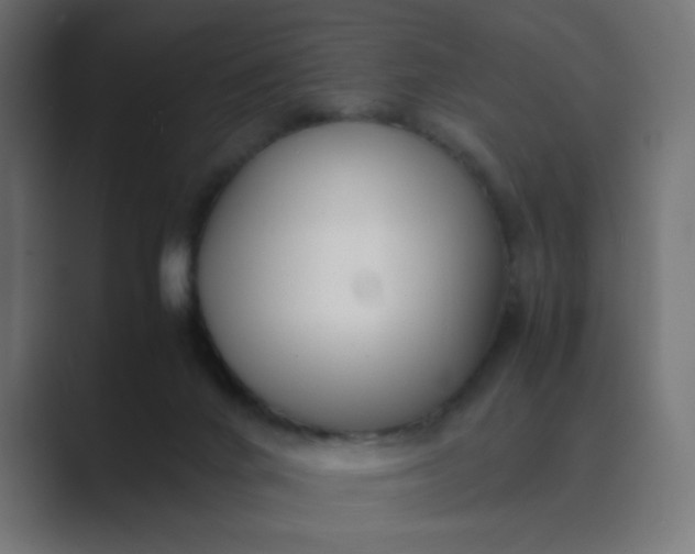 X0000089360024200706291050