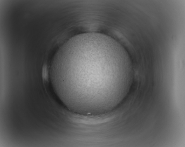 X0000089360026200706291050