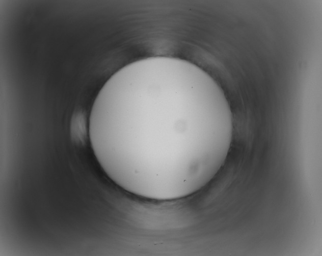 X0000089360028200706291050