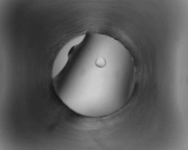 X0000089360029200706291050