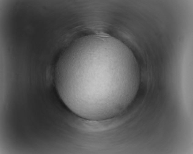 X0000089360030200706291050