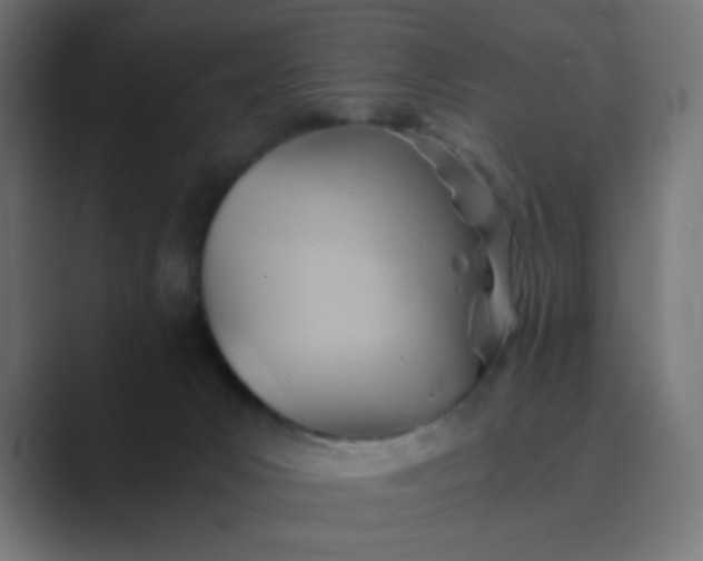 X0000089360031200706291050