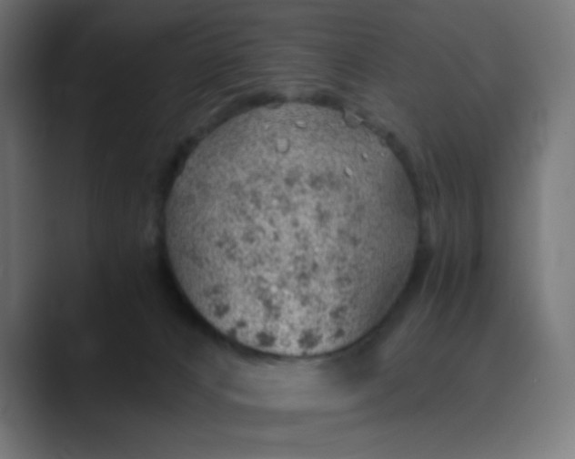 X0000089360032200706291050