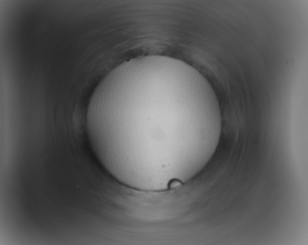 X0000089360034200706291050