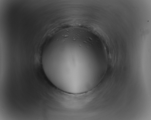 X0000089360035200706291050