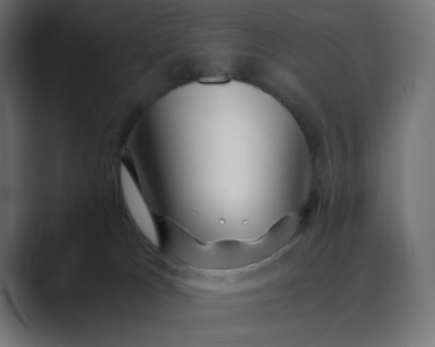 X0000089360037200706291050