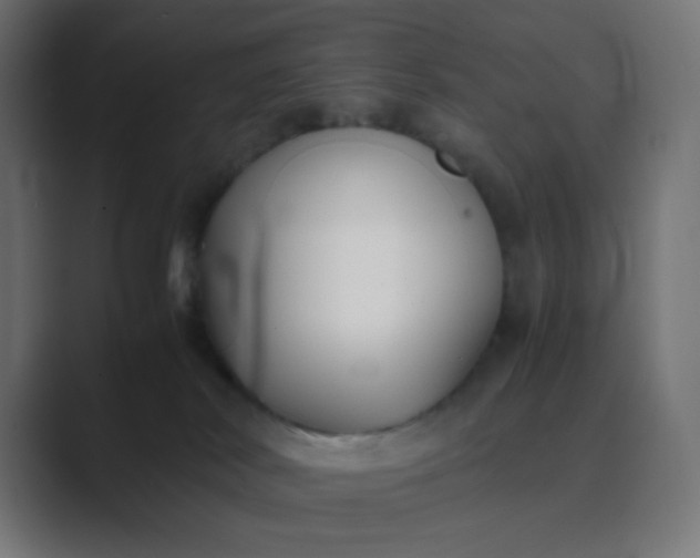 X0000089360038200706291050