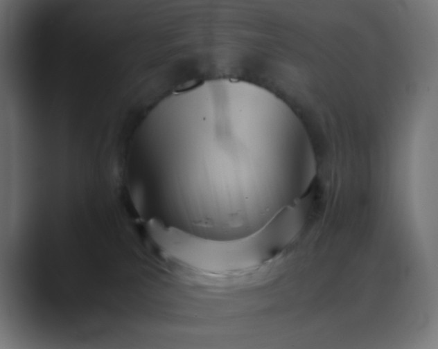 X0000089360039200706291050