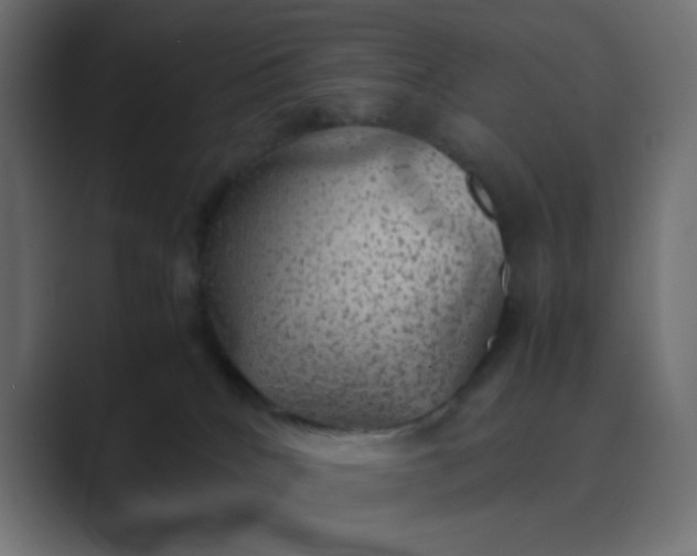 X0000089360040200706291050