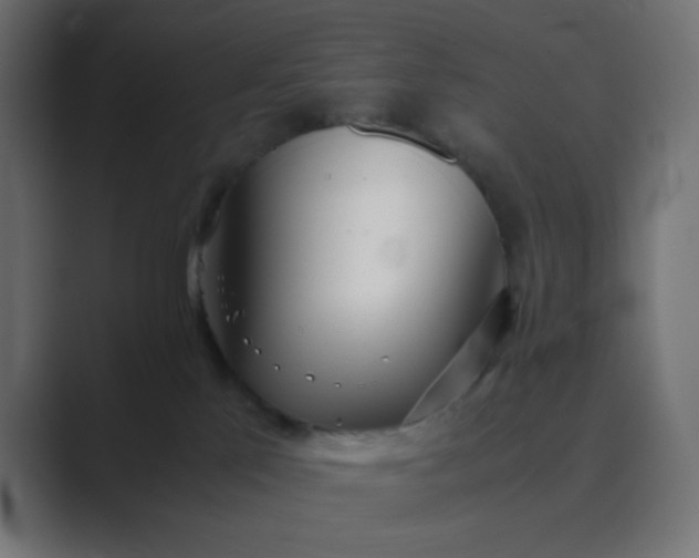 X0000089360041200706291050