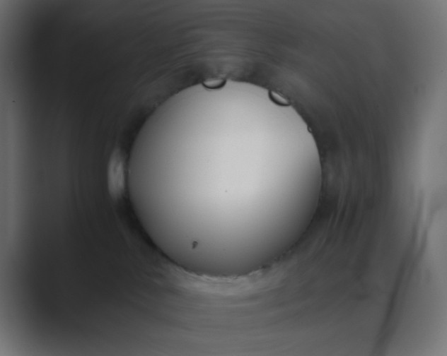 X0000089360042200706291050