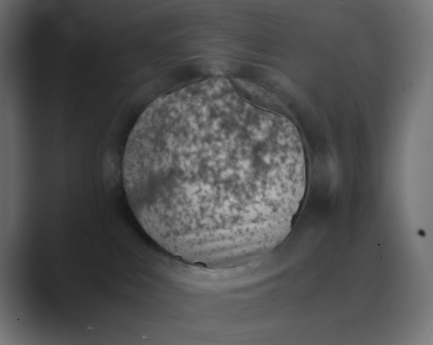 X0000089360043200706291050