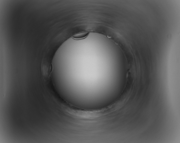 X0000089360044200706291050