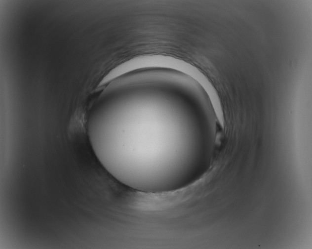 X0000089360045200706291050