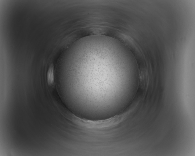 X0000089360046200706291050