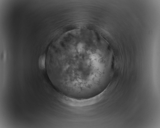 X0000089360047200706291050