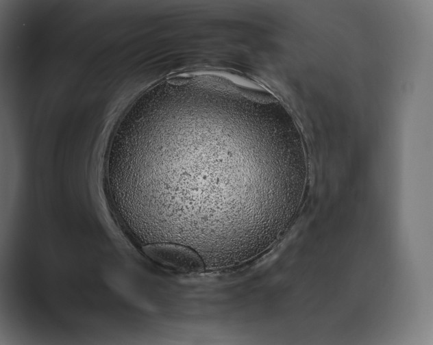 X0000089360049200706291049